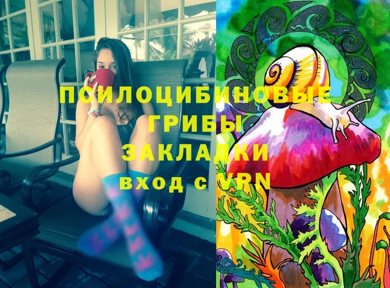 KRAKEN tor  Калачинск  Псилоцибиновые грибы Cubensis 